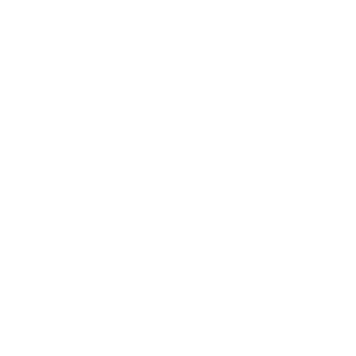 PPCH Logo